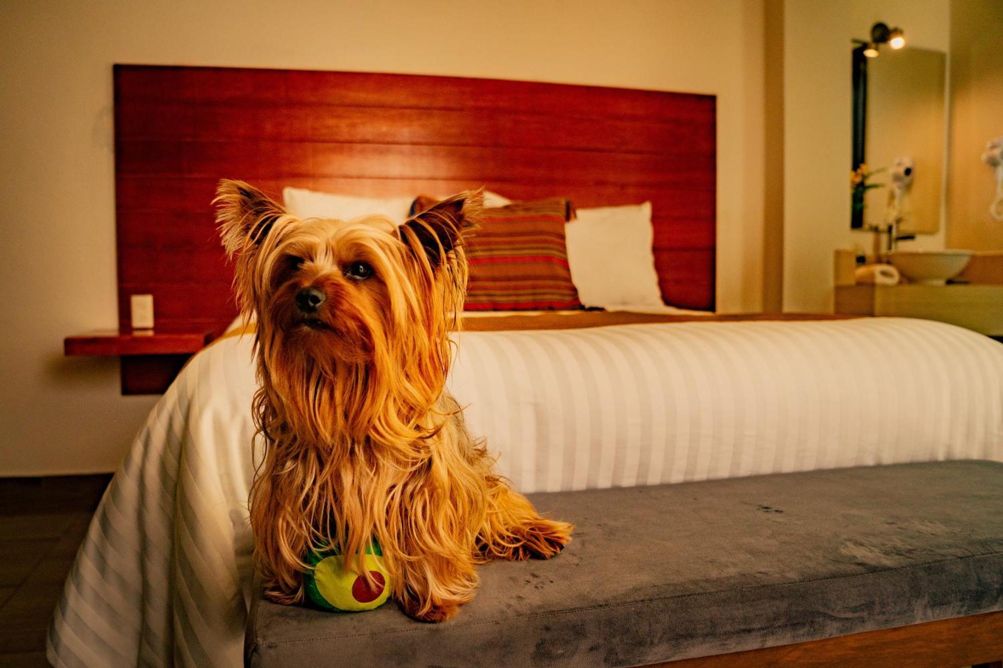 Na Hotel San Cristobal de las Casas Luaran gambar